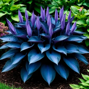 Хоста Сикрет Гров купить по цене от 570р. в интернет-магазине «Посадика» с доставкой почтой в в Ейске и по всей России – [изображение №1].